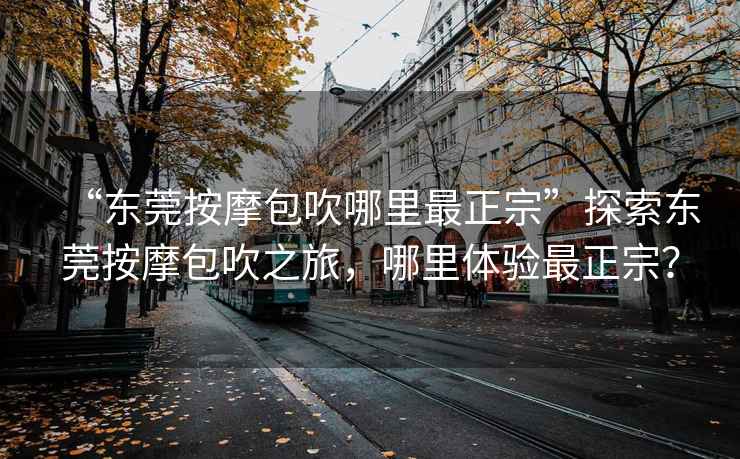 “東莞按摩包吹哪里最正宗”探索東莞按摩包吹之旅，哪里體驗最正宗？