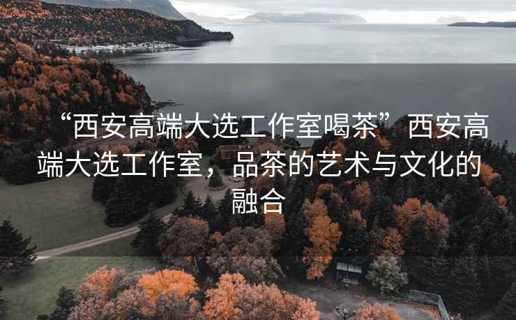 “西安高端大選工作室喝茶”西安高端大選工作室，品茶的藝術與文化的融合