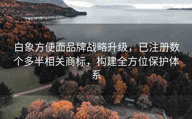白象方便面品牌戰略升級，已注冊數個多半相關商標，構建全方位保護體系