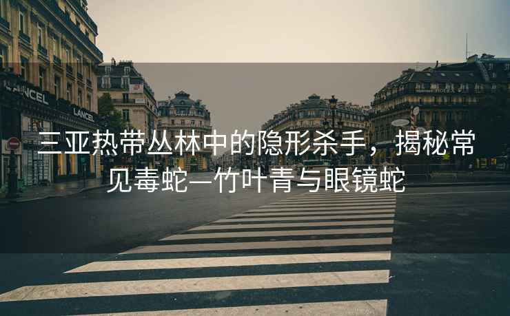三亞熱帶叢林中的隱形殺手，揭秘常見毒蛇—竹葉青與眼鏡蛇
