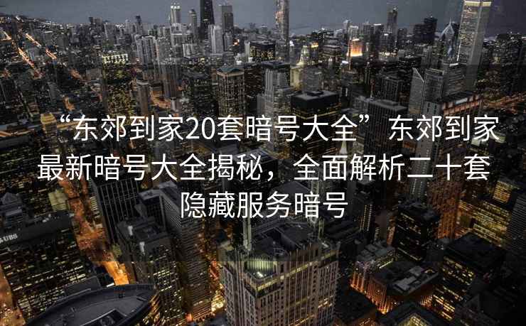 “東郊到家20套暗號大全”東郊到家最新暗號大全揭秘，全面解析二十套隱藏服務暗號