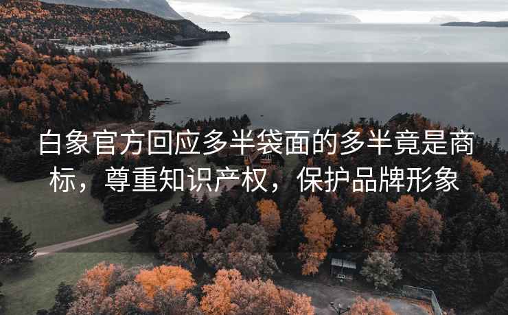 白象官方回應多半袋面的多半竟是商標，尊重知識產權，保護品牌形象