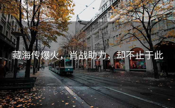 藏海傳爆火，肖戰(zhàn)助力，卻不止于此