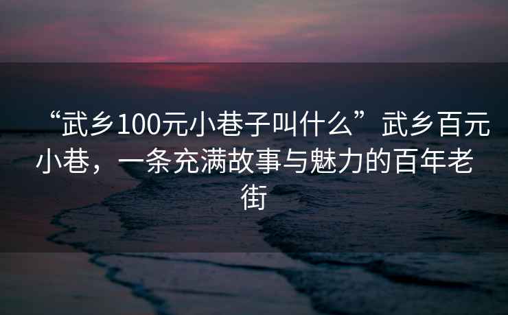 “武鄉100元小巷子叫什么”武鄉百元小巷，一條充滿故事與魅力的百年老街