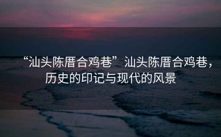 “汕頭陳厝合雞巷”汕頭陳厝合雞巷，歷史的印記與現代的風景