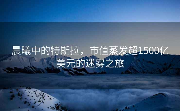 晨曦中的特斯拉，市值蒸發超1500億美元的迷霧之旅