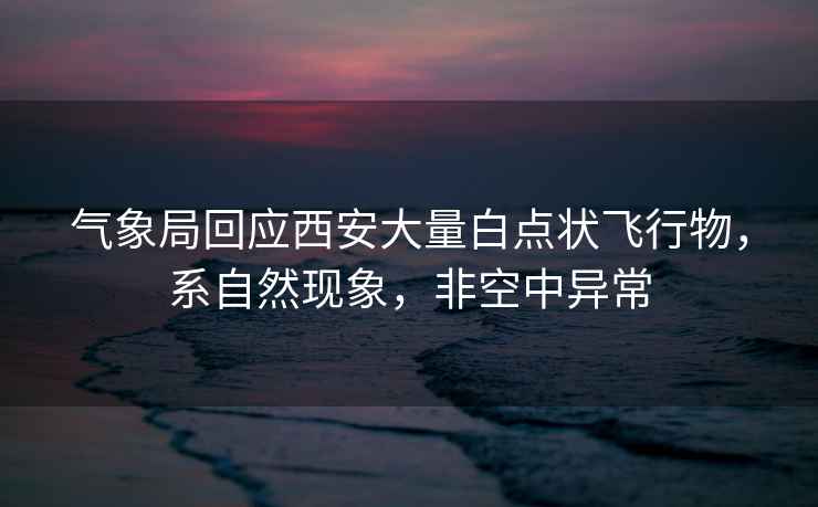 氣象局回應(yīng)西安大量白點(diǎn)狀飛行物，系自然現(xiàn)象，非空中異常