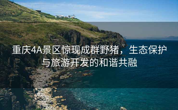 重慶4A景區驚現成群野豬，生態保護與旅游開發的和諧共融