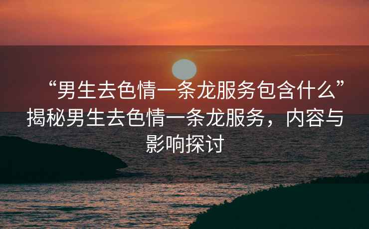 “男生去色情一條龍服務包含什么”揭秘男生去色情一條龍服務，內容與影響探討