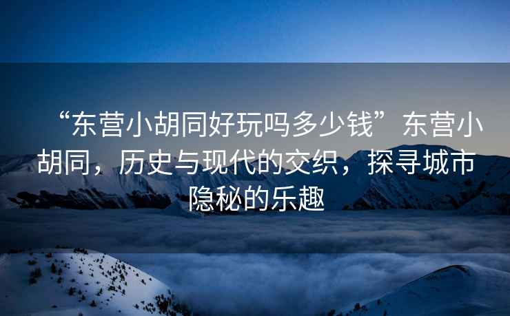 “東營小胡同好玩嗎多少錢”東營小胡同，歷史與現代的交織，探尋城市隱秘的樂趣