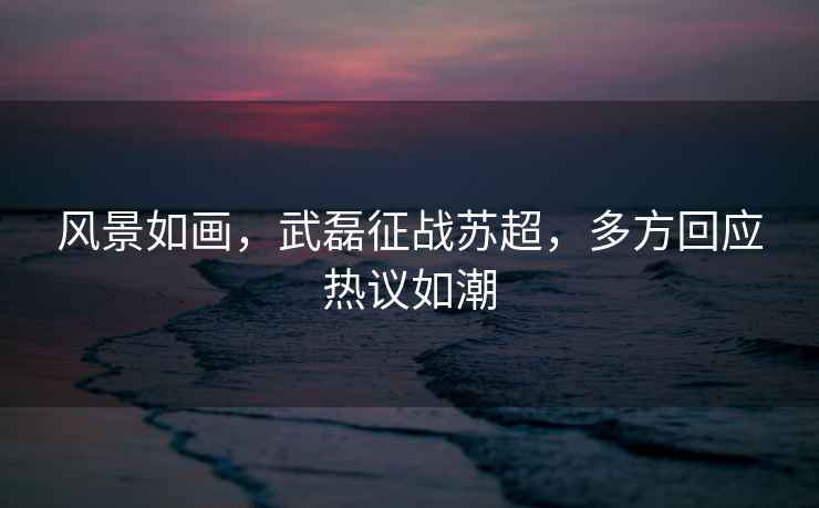 風(fēng)景如畫，武磊征戰(zhàn)蘇超，多方回應(yīng)熱議如潮