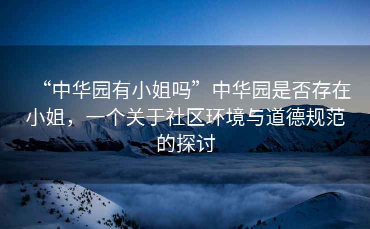“中華園有小姐嗎”中華園是否存在小姐，一個關于社區環境與道德規范的探討