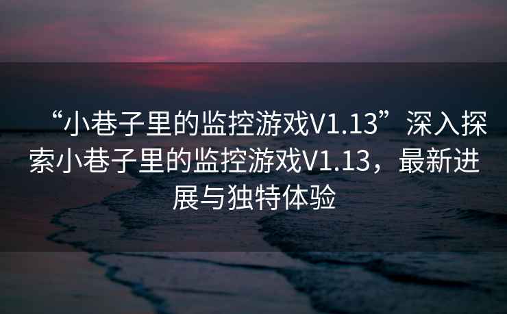 “小巷子里的監控游戲V1.13”深入探索小巷子里的監控游戲V1.13，最新進展與獨特體驗