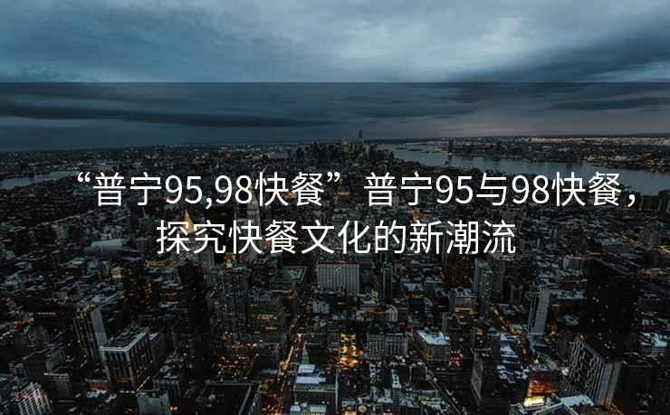 “普寧95,98快餐”普寧95與98快餐，探究快餐文化的新潮流