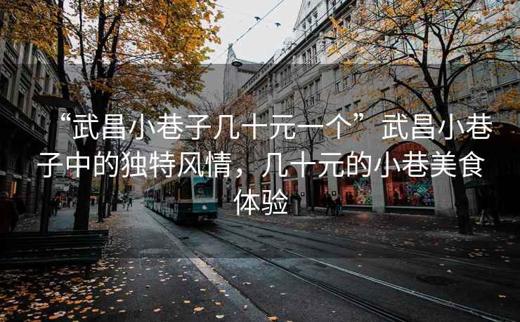 “武昌小巷子幾十元一個”武昌小巷子中的獨(dú)特風(fēng)情，幾十元的小巷美食體驗(yàn)