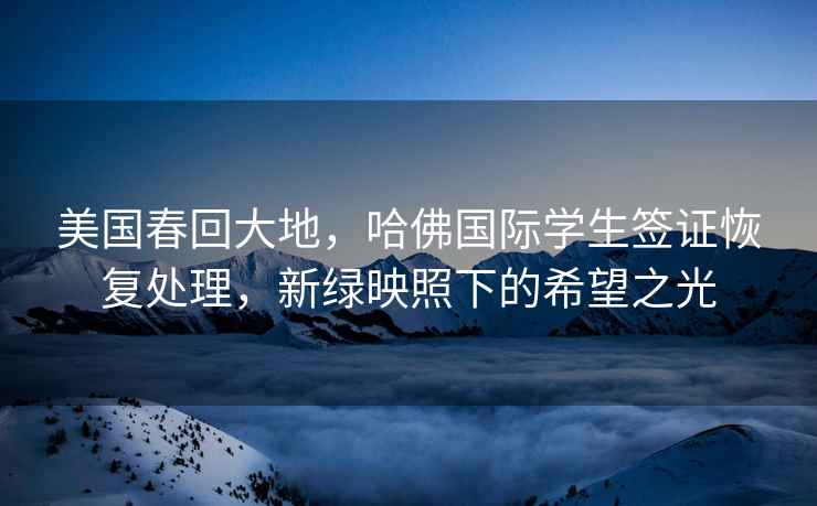 美國春回大地，哈佛國際學生簽證恢復處理，新綠映照下的希望之光