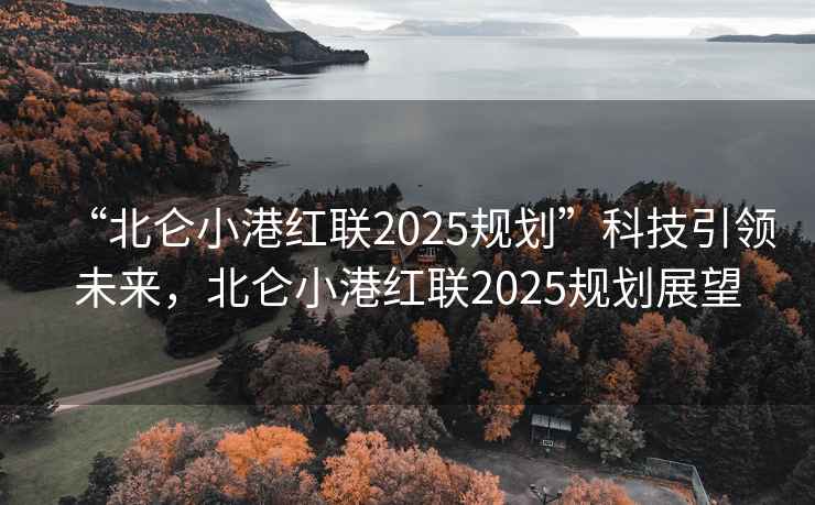 “北侖小港紅聯2025規劃”科技引領未來，北侖小港紅聯2025規劃展望