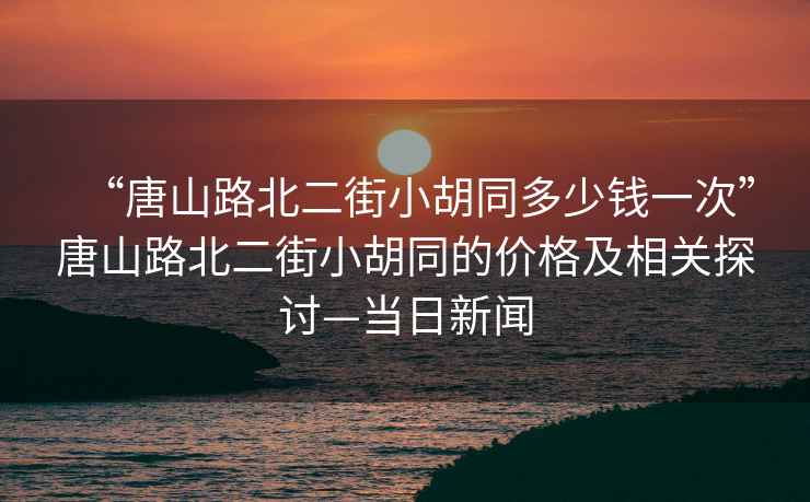 “唐山路北二街小胡同多少錢一次”唐山路北二街小胡同的價格及相關探討—當日新聞