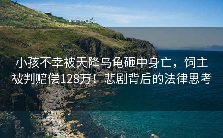 小孩不幸被天降烏龜砸中身亡，飼主被判賠償128萬！悲劇背后的法律思考