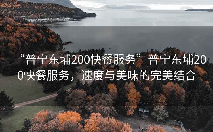 “普寧東埔200快餐服務”普寧東埔200快餐服務，速度與美味的完美結合