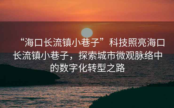 “海口長流鎮(zhèn)小巷子”科技照亮海口長流鎮(zhèn)小巷子，探索城市微觀脈絡(luò)中的數(shù)字化轉(zhuǎn)型之路
