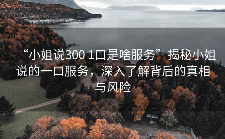 “小姐說(shuō)300 1口是啥服務(wù)”揭秘小姐說(shuō)的一口服務(wù)，深入了解背后的真相與風(fēng)險(xiǎn)