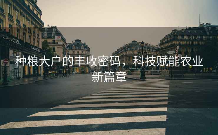種糧大戶的豐收密碼，科技賦能農業新篇章
