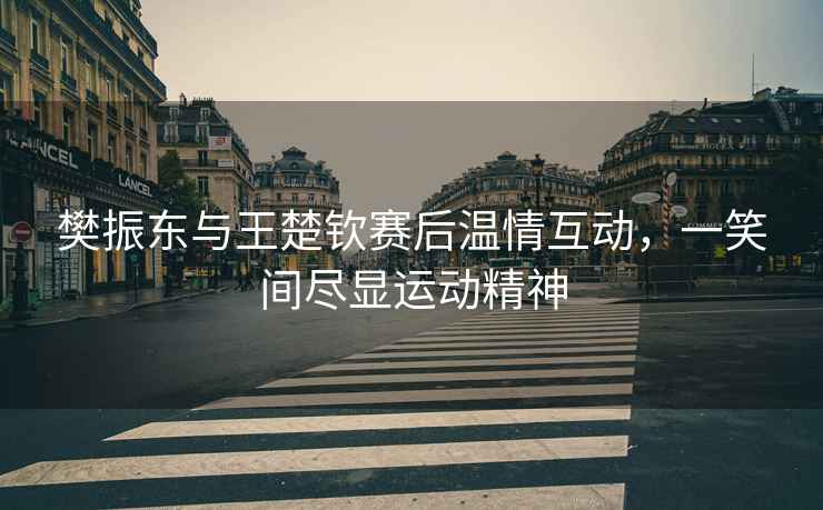 樊振東與王楚欽賽后溫情互動，一笑間盡顯運動精神