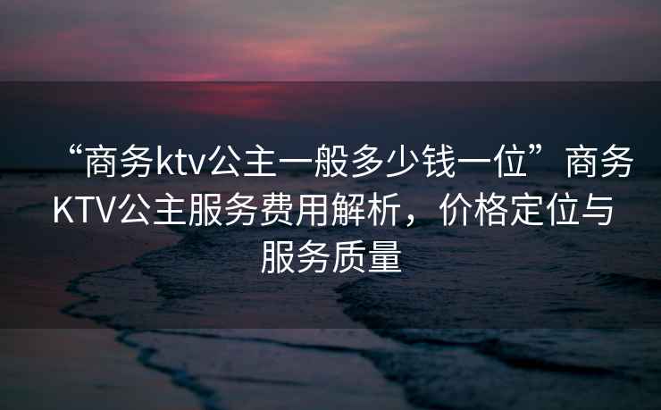 “商務ktv公主一般多少錢一位”商務KTV公主服務費用解析，價格定位與服務質量