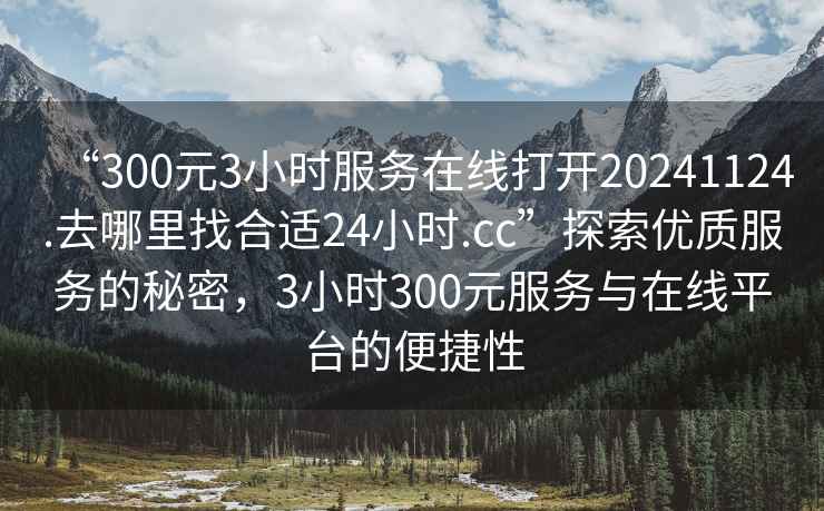 “300元3小時服務在線打開20241124.去哪里找合適24小時.cc”探索優質服務的秘密，3小時300元服務與在線平臺的便捷性