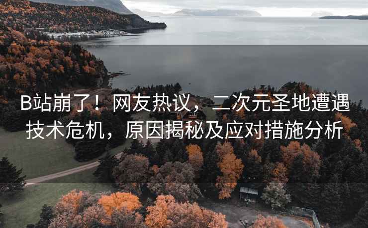 B站崩了！網友熱議，二次元圣地遭遇技術危機，原因揭秘及應對措施分析