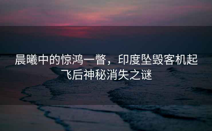晨曦中的驚鴻一瞥，印度墜毀客機(jī)起飛后神秘消失之謎