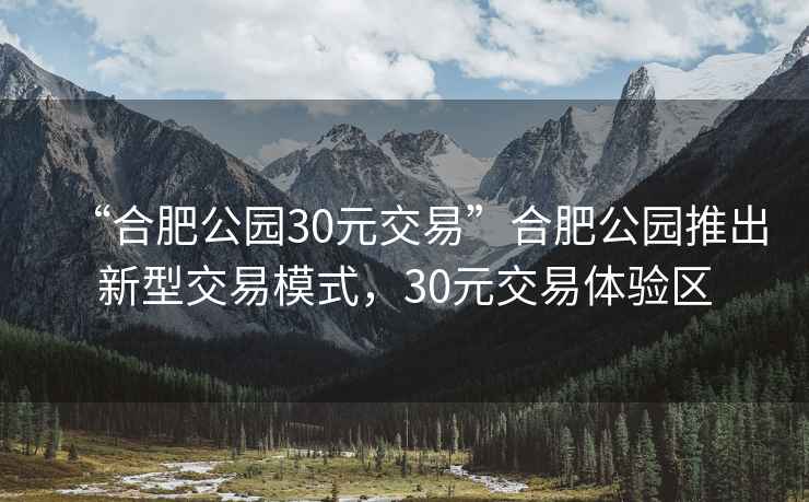 “合肥公園30元交易”合肥公園推出新型交易模式，30元交易體驗區