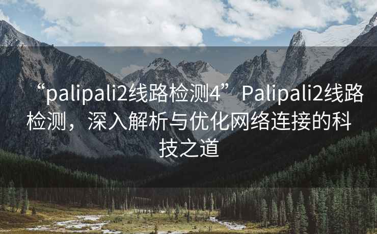 “palipali2線(xiàn)路檢測(cè)4”P(pán)alipali2線(xiàn)路檢測(cè)，深入解析與優(yōu)化網(wǎng)絡(luò)連接的科技之道