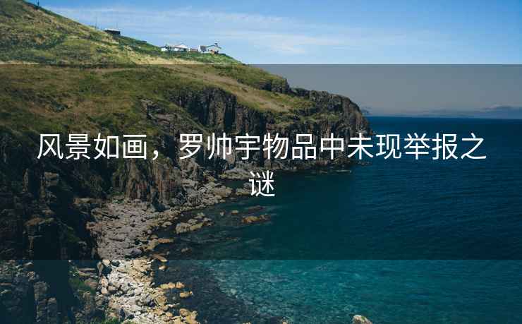 風景如畫，羅帥宇物品中未現舉報之謎