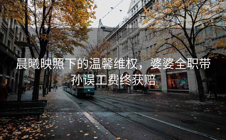 晨曦映照下的溫馨維權，婆婆全職帶孫誤工費終獲賠