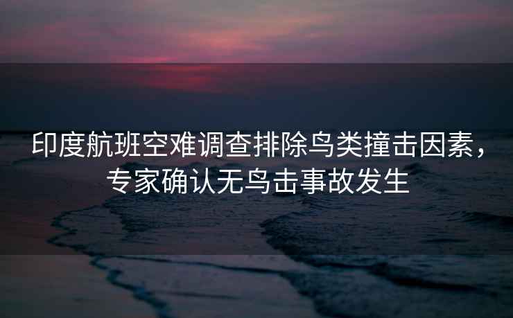 印度航班空難調查排除鳥類撞擊因素，專家確認無鳥擊事故發生