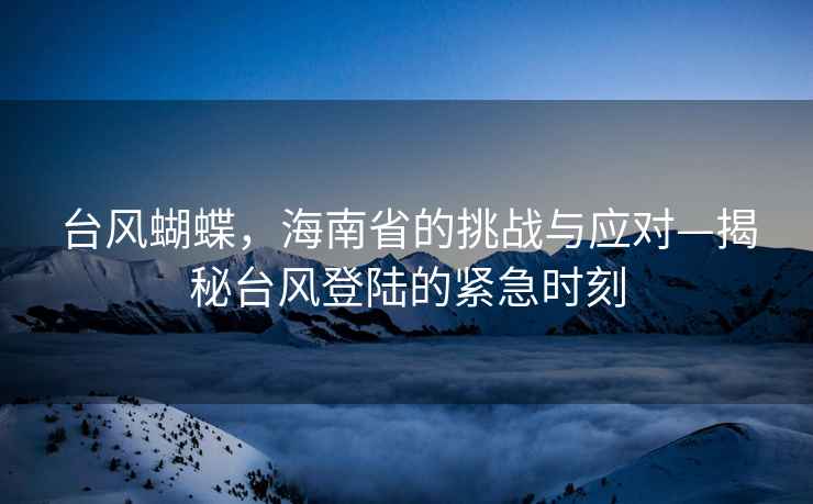 臺風蝴蝶，海南省的挑戰與應對—揭秘臺風登陸的緊急時刻