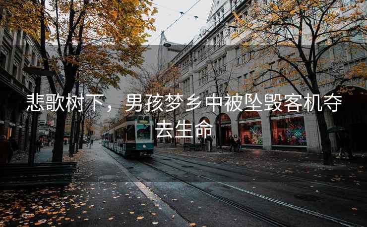 悲歌樹下，男孩夢鄉中被墜毀客機奪去生命