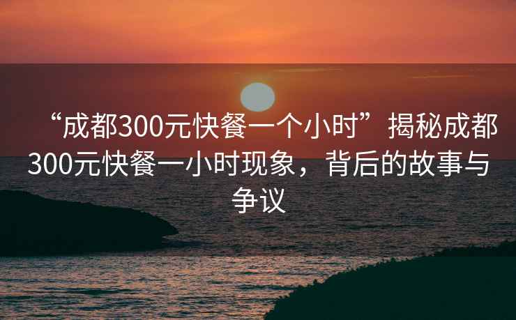 “成都300元快餐一個(gè)小時(shí)”揭秘成都300元快餐一小時(shí)現(xiàn)象，背后的故事與爭(zhēng)議