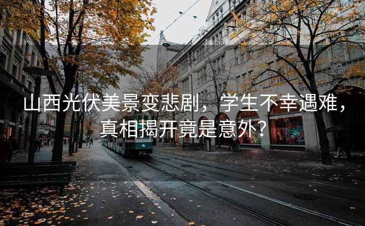 山西光伏美景變悲劇，學生不幸遇難，真相揭開竟是意外？