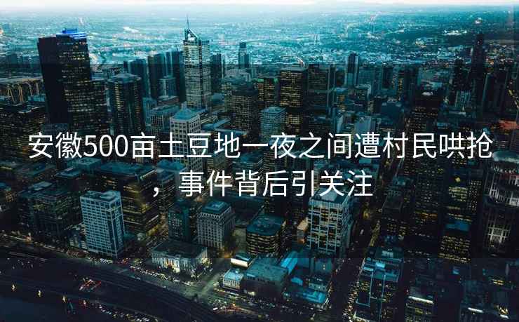 安徽500畝土豆地一夜之間遭村民哄搶，事件背后引關注