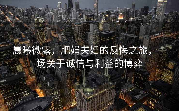 晨曦微露，肥娟夫婦的反悔之旅，一場關(guān)于誠信與利益的博弈