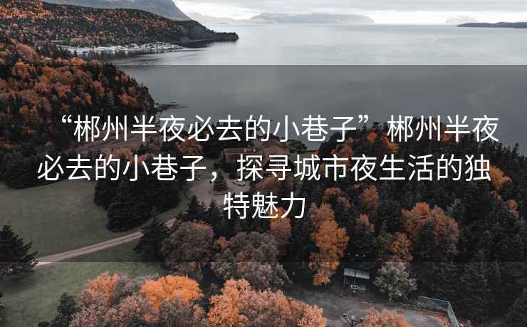 “郴州半夜必去的小巷子”郴州半夜必去的小巷子，探尋城市夜生活的獨特魅力
