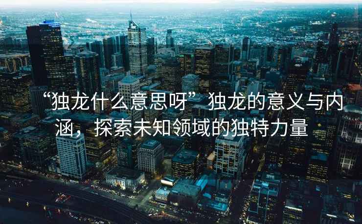 “獨龍什么意思呀”獨龍的意義與內涵，探索未知領域的獨特力量