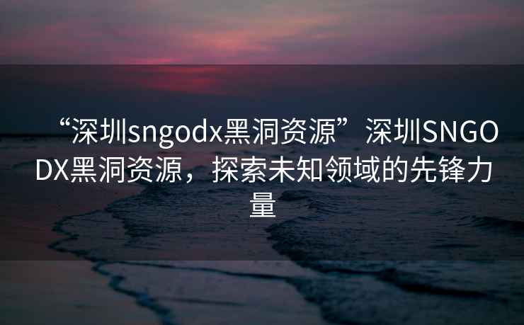 “深圳sngodx黑洞資源”深圳SNGODX黑洞資源，探索未知領域的先鋒力量