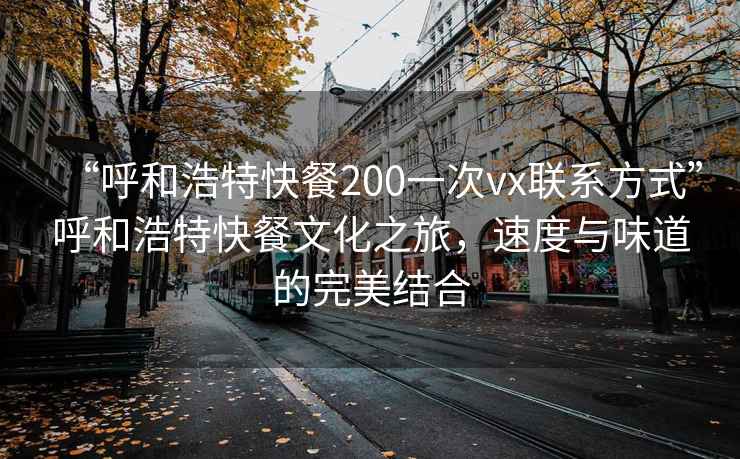 “呼和浩特快餐200一次vx聯(lián)系方式”呼和浩特快餐文化之旅，速度與味道的完美結(jié)合