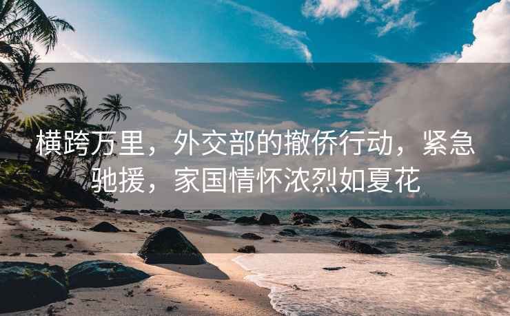 橫跨萬里，外交部的撤僑行動，緊急馳援，家國情懷濃烈如夏花