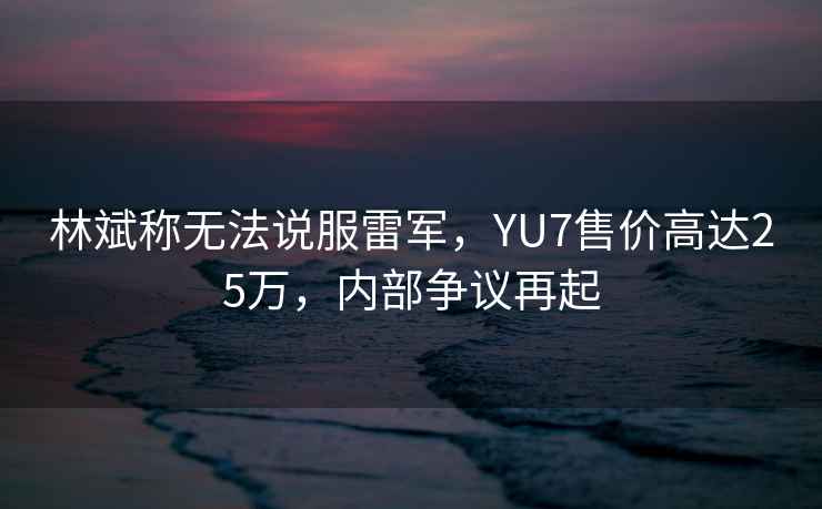 林斌稱無法說服雷軍，YU7售價高達25萬，內部爭議再起