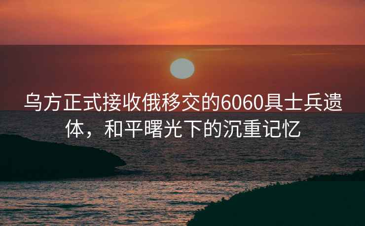 烏方正式接收俄移交的6060具士兵遺體，和平曙光下的沉重記憶